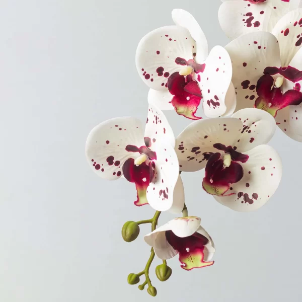 Arranjo Centro De Mesa Orquídeas Tigre com Branco em Vaso Espelhado de Vidro - Imagem 2