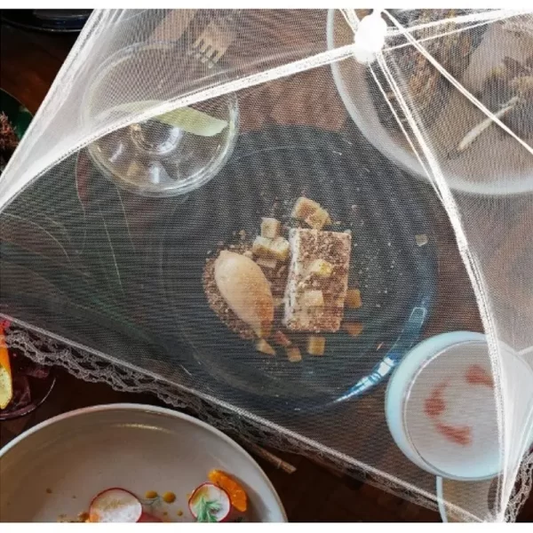 Tela Protetora de Alimentos Mosquiteiro 40 cm - Imagem 6