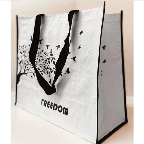 Bolsa Ecologica Ecobag Reutilizavel Kit 20 Uni - Imagem 6