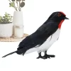 Esculturas De Pássaros Realistas Para Decoração