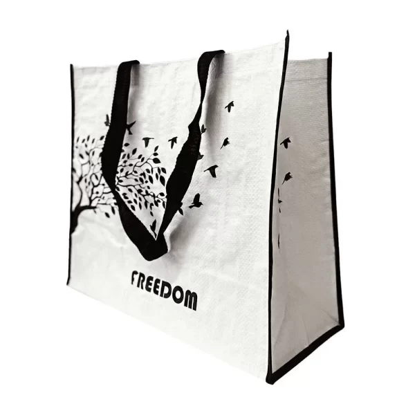 Bolsa Ecologica Ecobag Reutilizavel Kit 20 Uni - Imagem 3