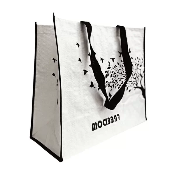 Bolsa Ecologica Ecobag Reutilizavel Kit 20 Uni - Imagem 4