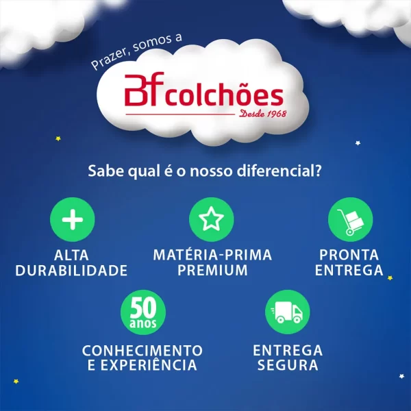 Kit 2 Peças Almofadas com Enchimento Flocos de Espuma 45x65 cm - Imagem 6