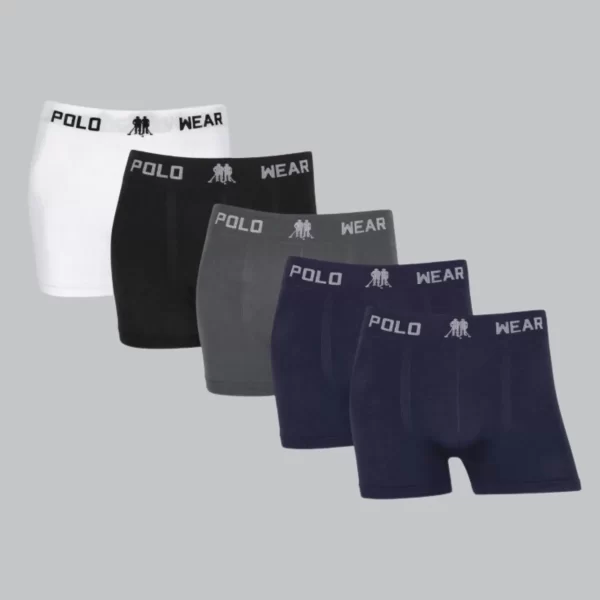 Kit Cueca Boxer Polo Wear Cueca Box Microfibra