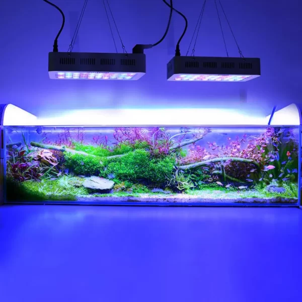 Dimmer luz do aquário regulável led luzes do tanque fsih 180w bacife marinho aquário lâmpada decoração para tanques de peixes e aquários - Imagem 5