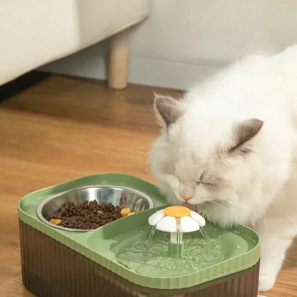 Ultra-Quiet Automatic Cat Water Dispenser, 2 em 1, alimentador de fonte para Pet, cão alimentação tigela, recircular beber, filt - Imagem 5