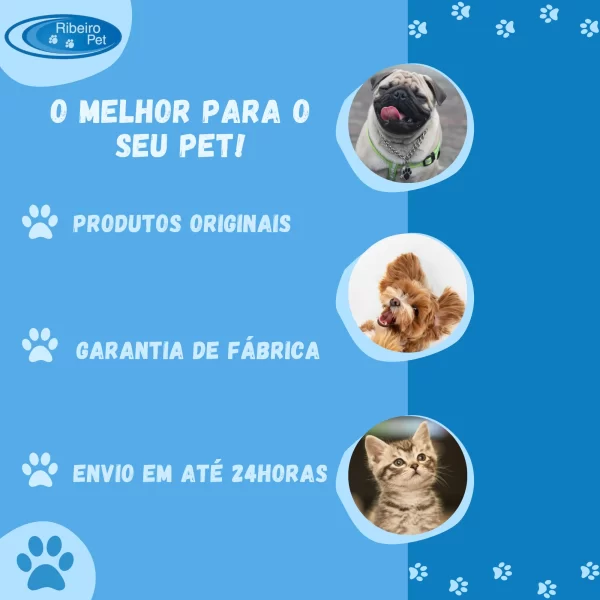 Caixa de Areia para Gatos Grandes Desmontável + Pá Higiênica + Potes de Ração - Imagem 6