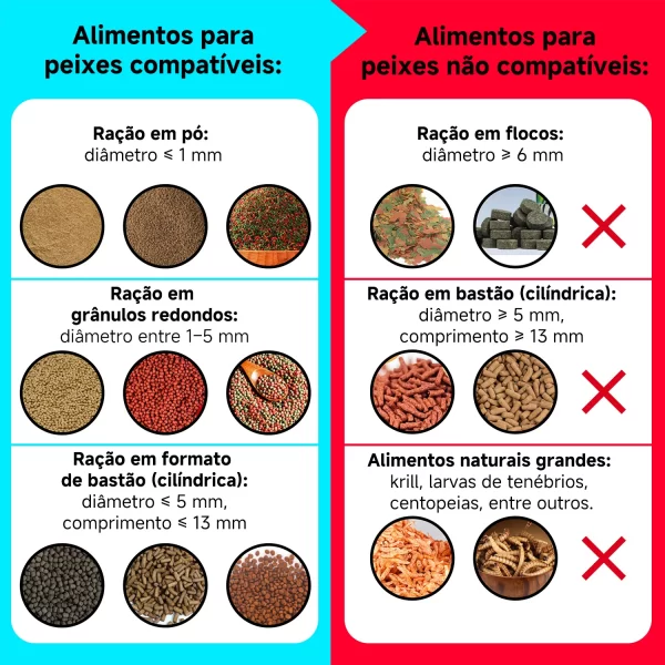 Newpet WiFi alimentador automático de peixes com câmera HD e aplicativo alimentador de peixes inteligente alimentador automático de peixes adequado para aquários de tanques de peixes - Imagem 5
