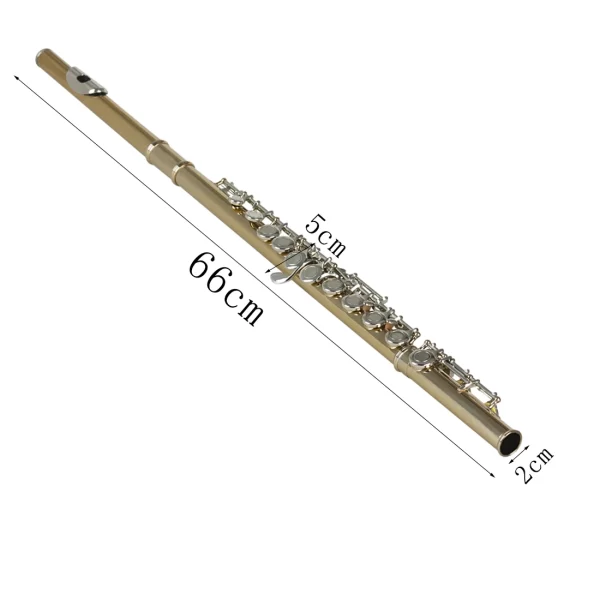 Do Brasil SLADE Ouro Prata Flauta Agujero Fechado C Slot - Flauta Estudante Instrumental Iniciante com Caso Luvas Conjunto de Limpeza - Imagem 5