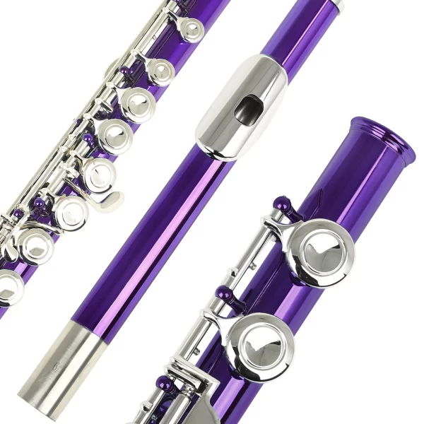 Slade 16 buracos abertos fechados c chave profissional flauta transversal instrumento musical de concerto com caixa pano de limpeza luvas vara - Imagem 4