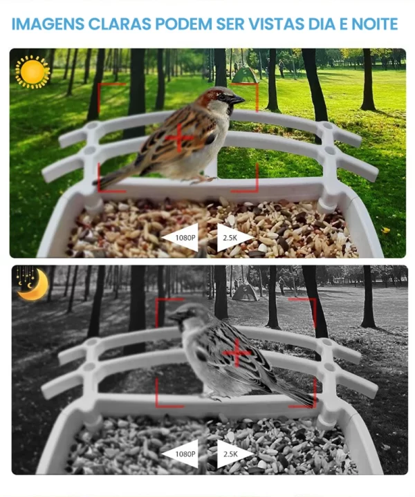 Newpet 4mp icsee app energia solar ai alimentador de pássaros sem fio wifi ptz ip dome câmera relógio pássaro câmera de segurança em casa monitor cctv - Imagem 6