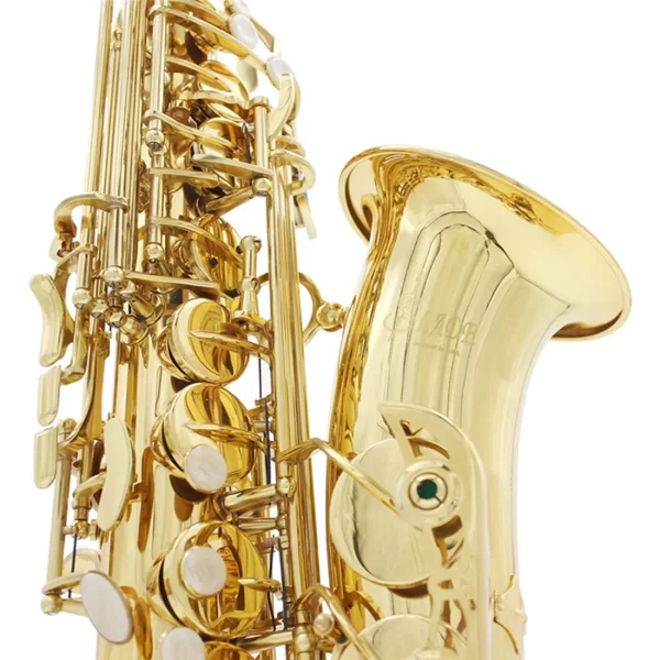 Envio do brasil eb saxofone alto corpo de bronze conjunto saxofone profissional instrumentos de sopro com caso reed sax acessório - Imagem 6