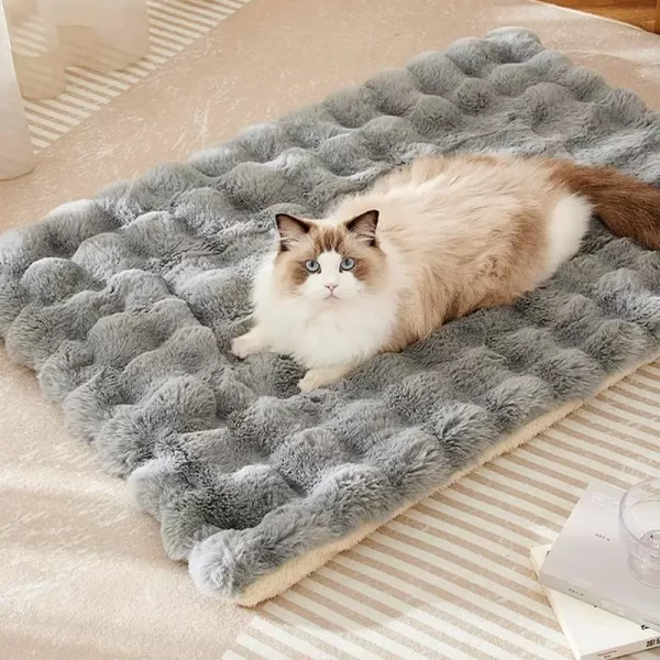 Tapete de pelúcia para gatos, sofá para animais de estimação, almofada de dormir, camas de inverno, almofada macia para dormir, para cães, gatinhos, macio, dormir, tapete de viagem para cães - Imagem 2