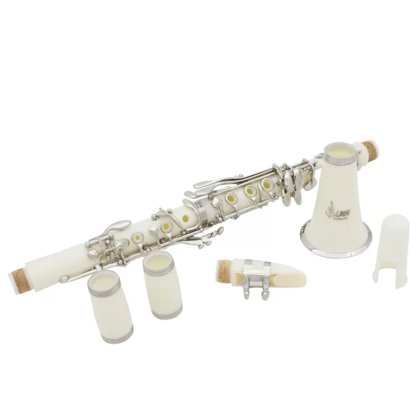 Slade bb 17 teclas clarinete profissional estudante iniciante com estojo pano de limpeza chave de fenda palhetas acessórios - Imagem 3