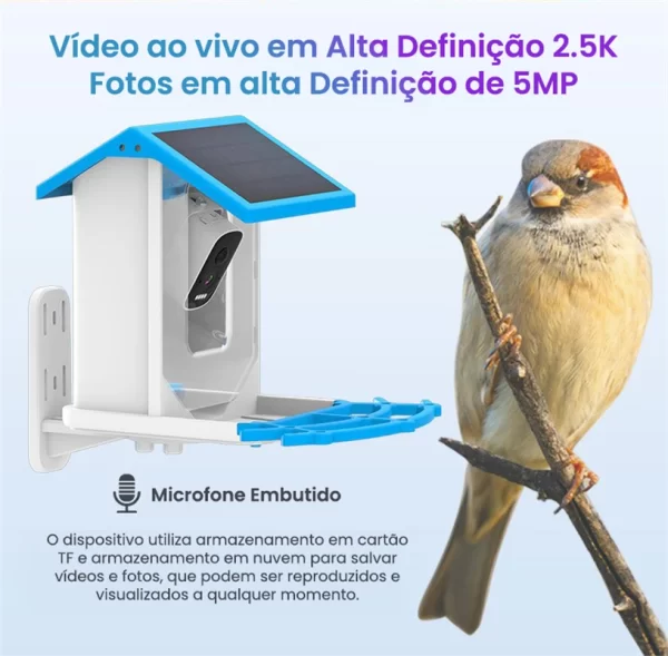 Newpet 4mp icsee app energia solar ai alimentador de pássaros sem fio wifi ptz ip dome câmera relógio pássaro câmera de segurança em casa monitor cctv - Imagem 3