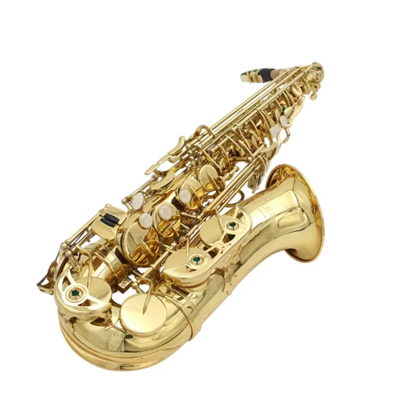 Envio do brasil eb saxofone alto corpo de bronze conjunto saxofone profissional instrumentos de sopro com caso reed sax acessório - Imagem 2