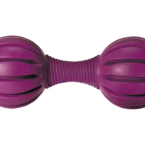Brinquedo para Cachorro Waggle PetSafe