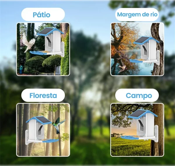 Newpet 4mp icsee app energia solar ai alimentador de pássaros sem fio wifi ptz ip dome câmera relógio pássaro câmera de segurança em casa monitor cctv - Imagem 5