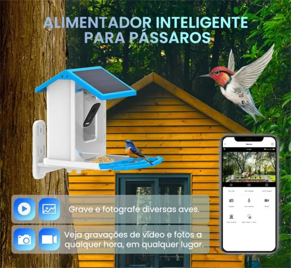 Newpet 4mp icsee app energia solar ai alimentador de pássaros sem fio wifi ptz ip dome câmera relógio pássaro câmera de segurança em casa monitor cctv - Imagem 2