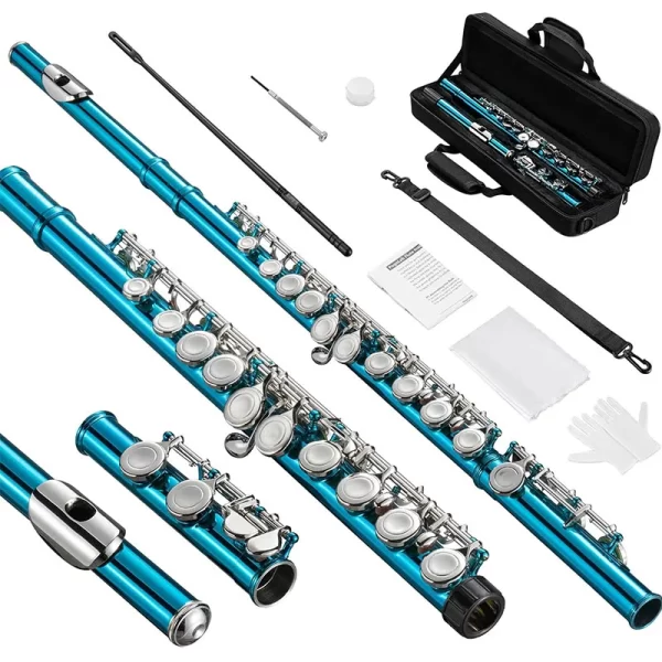 Flauta, instrumento de flauta de furo fechado c 16 teclas, estudante para iniciantes e músicos avançados, vem com kit de limpeza de flauta