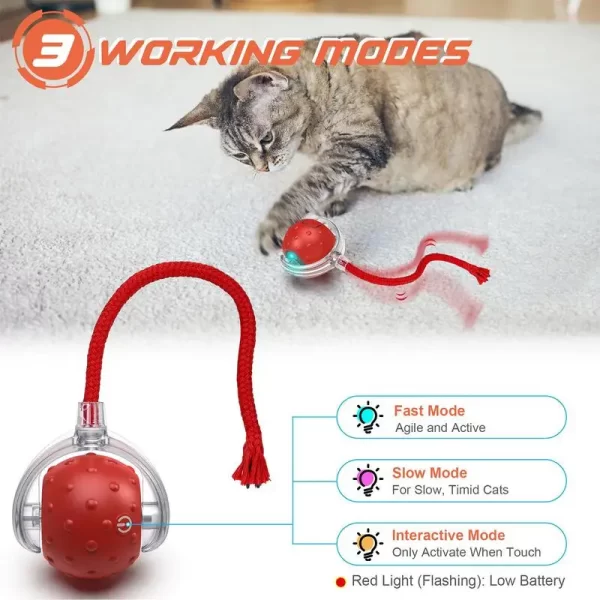 Gato bola interativa brinquedos bola de rolamento automático falso cauda carregamento usb inteligente animal de estimação brinquedo elétrico cão gato treinamento imitar ratos - Imagem 5