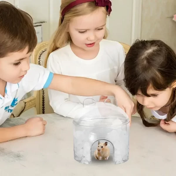 Casa de resfriamento de hamster, descanso de animais pequenos, ninho de gelo, design oco, casa de dormir para ouriços, hamsters, chinchilas e outros - Imagem 2