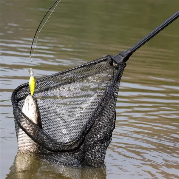 Sougayilang Folding Brail Net Pesca, Telescópica Landing Net, Scoop Net, 65-112cm - Imagem 6