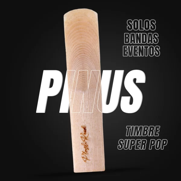 Palheta Plastireed Para Clarinete Pinus 3 - Imagem 2