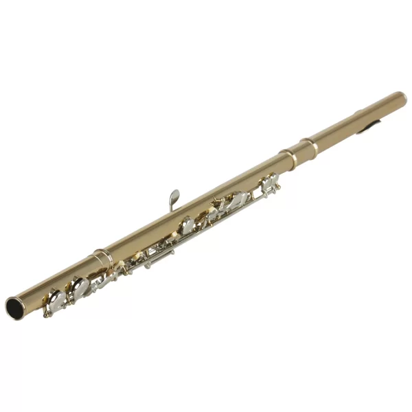 Do Brasil SLADE Ouro Prata Flauta Agujero Fechado C Slot - Flauta Estudante Instrumental Iniciante com Caso Luvas Conjunto de Limpeza - Imagem 3