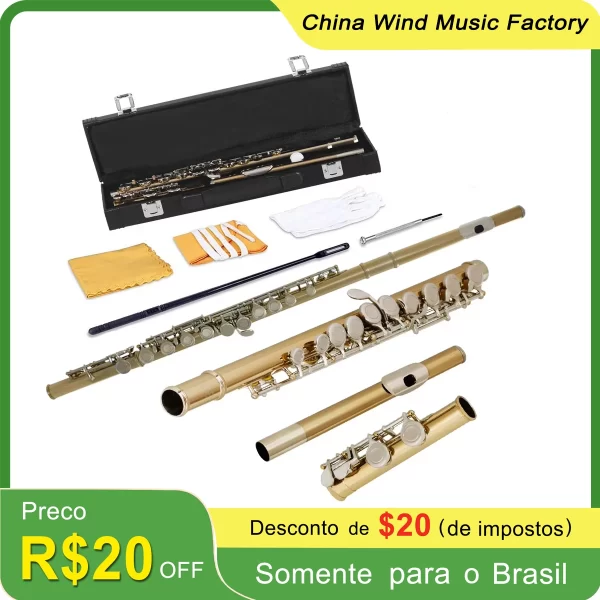 Do Brasil SLADE Ouro Prata Flauta Agujero Fechado C Slot - Flauta Estudante Instrumental Iniciante com Caso Luvas Conjunto de Limpeza - Imagem 2