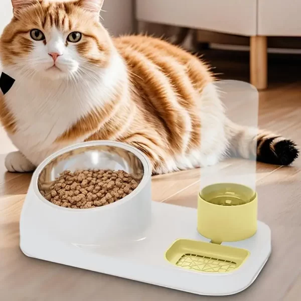Alimentador de gato e dispensador de água de aço inoxidável lanche tigela waterer antiderrapante alimentador de gato dispensador de comida seca para cães filhote de cachorro - Imagem 3