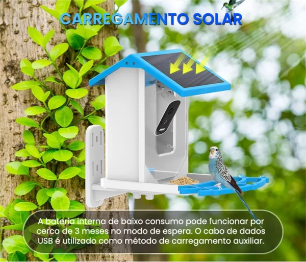 Newpet 4mp icsee app energia solar ai alimentador de pássaros sem fio wifi ptz ip dome câmera relógio pássaro câmera de segurança em casa monitor cctv - Imagem 4