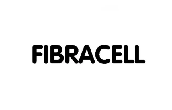 Palheta Fibracell Premier Clarinete Sib/Do 3,5 - Imagem 2