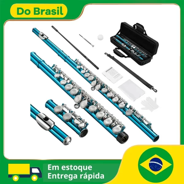 Flauta, instrumento de flauta de furo fechado c 16 teclas, estudante para iniciantes e músicos avançados, vem com kit de limpeza de flauta