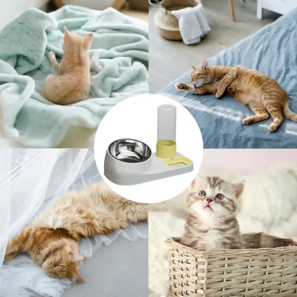 Alimentador de gato e dispensador de água de aço inoxidável lanche tigela waterer antiderrapante alimentador de gato dispensador de comida seca para cães filhote de cachorro - Imagem 4