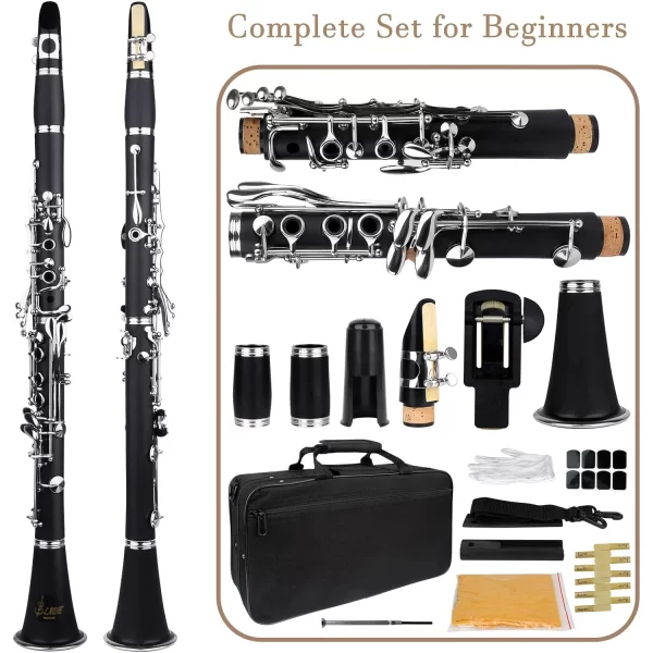 SLADE-Professional Baquelite Clarinete De Madeira com Caixa, 17 Key Bb, Instrumento De Sopros, Kit De Limpeza, Reed Acessórios