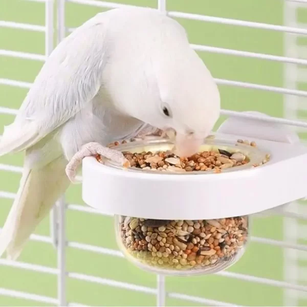 Prato de comida para periquito, transparente, destacável, alimentador de papagaio, gaiola de chinchila, acessórios, suprimentos de rega, tigelas de água com braçadeira para - Imagem 4
