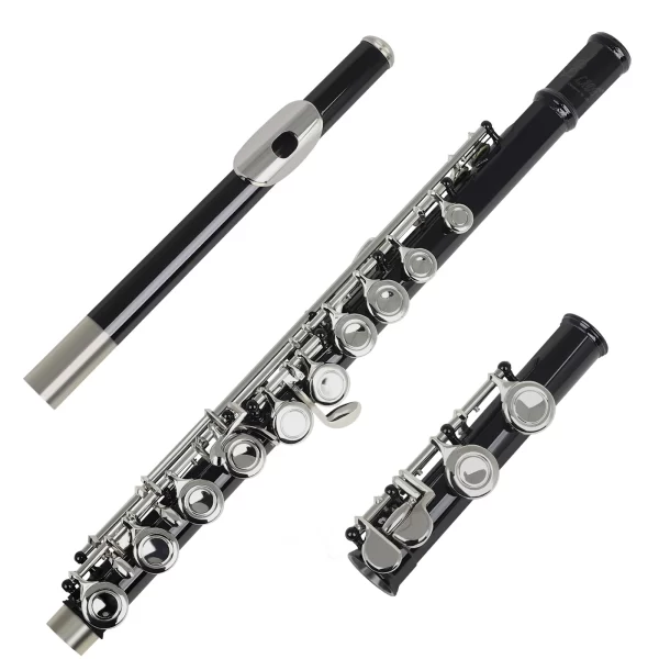Slade 16 buracos abertos fechados c chave profissional flauta transversal instrumento musical de concerto com caixa pano de limpeza luvas vara - Imagem 5