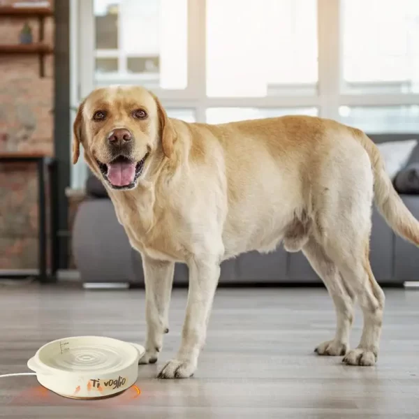 Cerâmica aquecida Pet Water Bowl, temperatura constante, aquecedor automático para cães, gatos, coelhos, pássaros, galinhas - Imagem 4