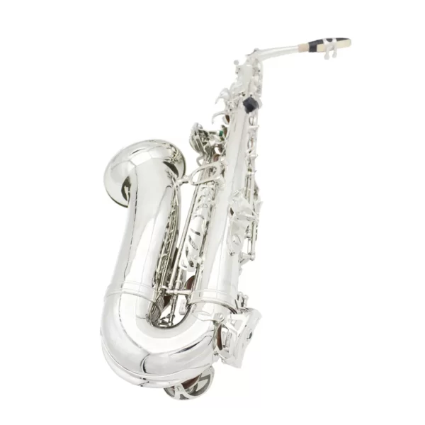 Envio do brasil eb saxofone alto corpo de bronze conjunto saxofone profissional instrumentos de sopro com caso reed sax acessório - Imagem 5