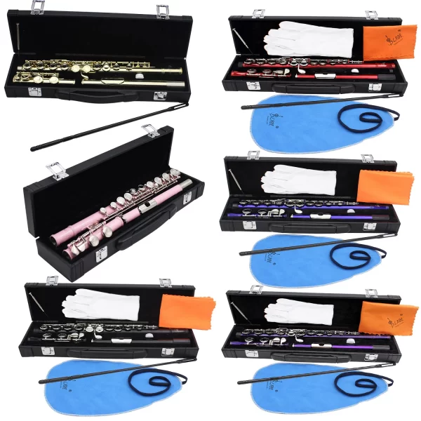 SLADE Flauta Multicolorida com Slot C Buraco Fechado 16 Flauta Chave para Estudantes Iniciantes Instrumento de Flauta com Caixa Luvas Kit de Limpeza - Imagem 2